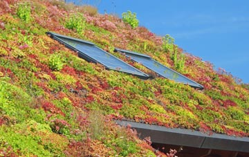 Bramley Corner living roof systems